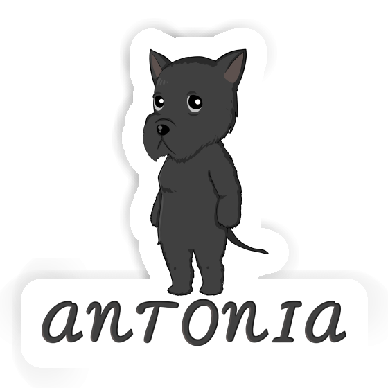 Sticker Giant Schnauzer Antonia Notebook Image