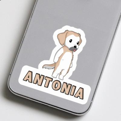 Antonia Sticker Golden Retriever Image