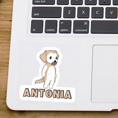 Antonia Sticker Golden Retriever Image