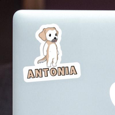 Antonia Sticker Golden Retriever Notebook Image