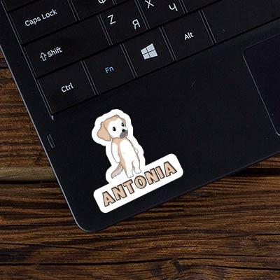 Antonia Sticker Golden Retriever Image