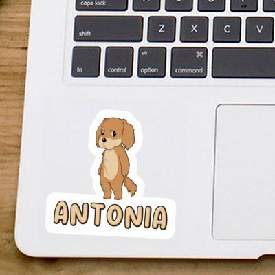 Hovawart Sticker Antonia Gift package Image