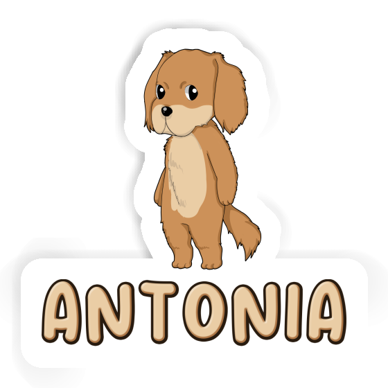 Hovawart Sticker Antonia Gift package Image