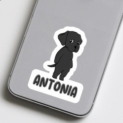 Labrador Sticker Antonia Notebook Image