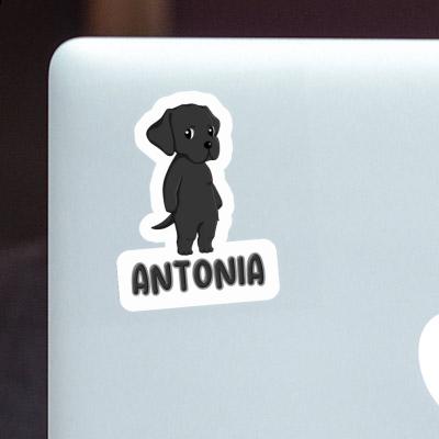 Labrador Sticker Antonia Laptop Image