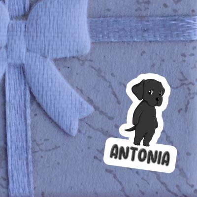 Labrador Sticker Antonia Notebook Image