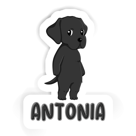 Labrador Sticker Antonia Laptop Image