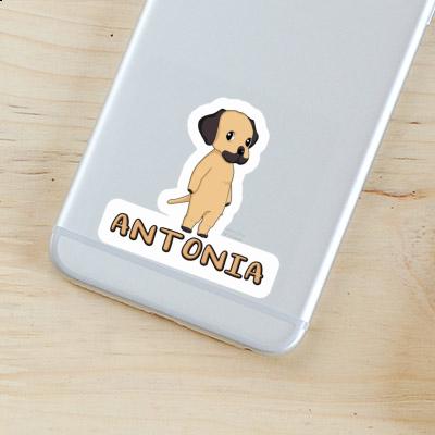 Sticker Antonia Rhodesian Ridgeback Gift package Image