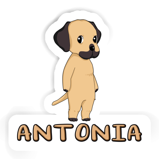 Sticker Antonia Rhodesian Ridgeback Gift package Image