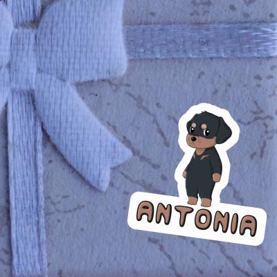 Sticker Rottweiler Antonia Notebook Image