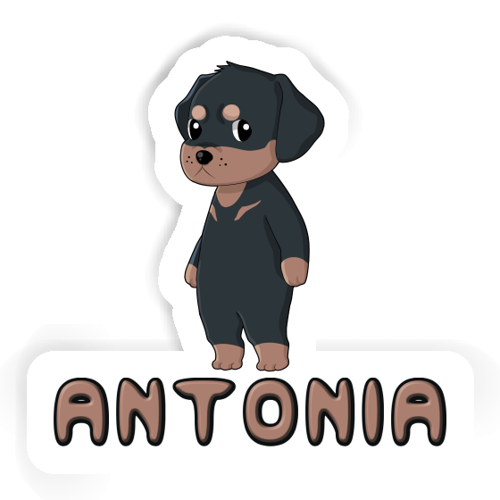 Sticker Rottweiler Antonia Image