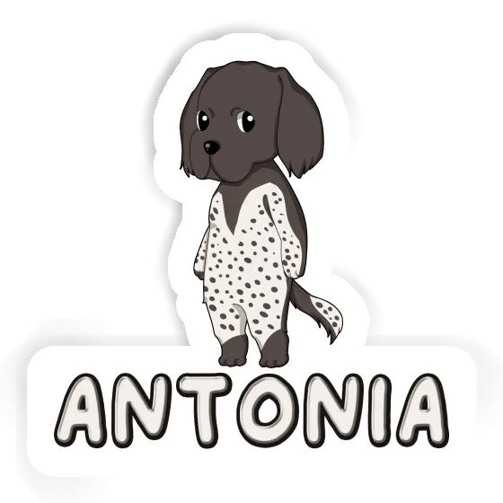 Small Munsterlander Sticker Antonia Image