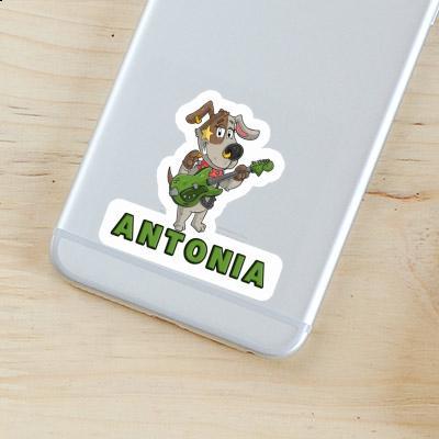 Antonia Sticker Guitarist Image