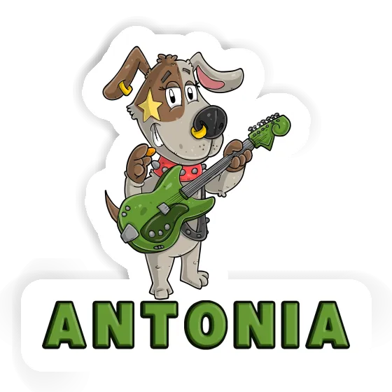 Antonia Autocollant Guitariste Gift package Image