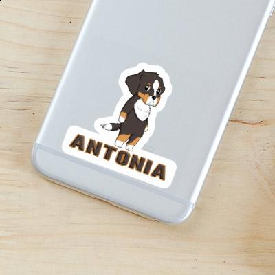 Bernese Mountain Dog Sticker Antonia Notebook Image