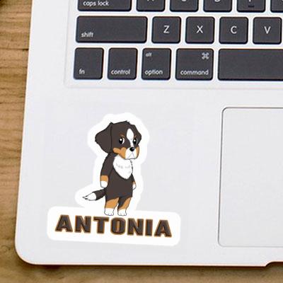 Bernese Mountain Dog Sticker Antonia Laptop Image