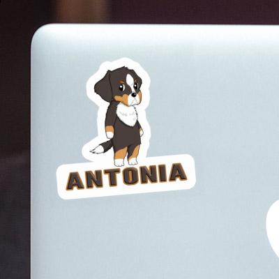 Bernese Mountain Dog Sticker Antonia Laptop Image