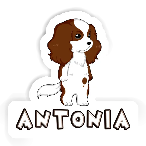 Antonia Sticker Cavalier King Charles Spaniel Image