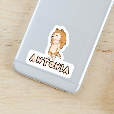 Antonia Sticker Collie Notebook Image