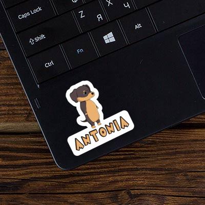 Sticker Dachshund Antonia Image