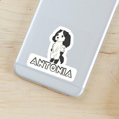 Aufkleber Antonia English Cocker Spaniel Gift package Image