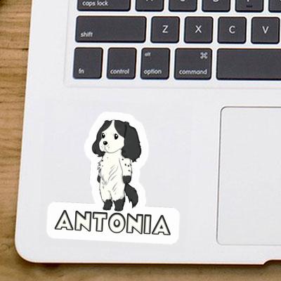 Aufkleber Antonia English Cocker Spaniel Gift package Image