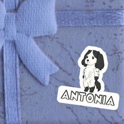 Antonia Sticker English Cocker Spaniel Image