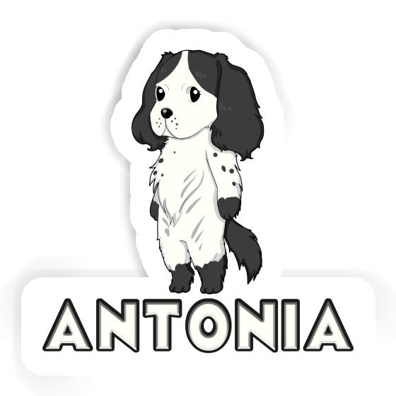 Aufkleber Antonia English Cocker Spaniel Image