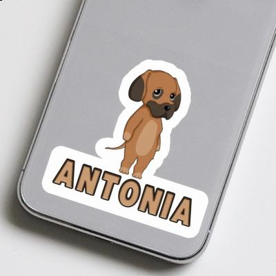 Sticker Antonia German Mastiff Gift package Image