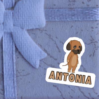 Sticker Antonia German Mastiff Laptop Image