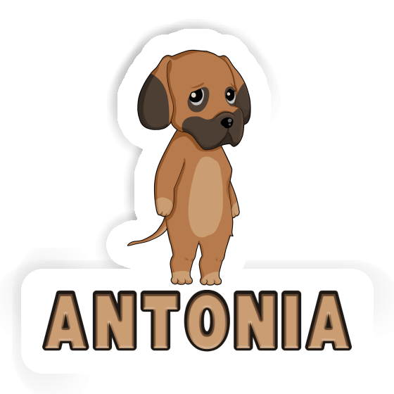 Sticker Antonia German Mastiff Laptop Image