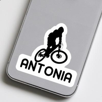 Downhiller Sticker Antonia Image