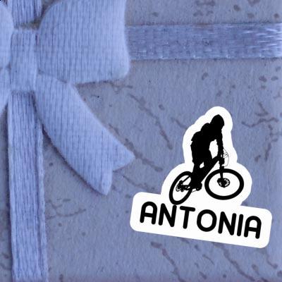 Antonia Sticker Downhiller Laptop Image