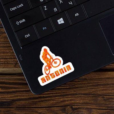 Sticker Downhiller Antonia Laptop Image