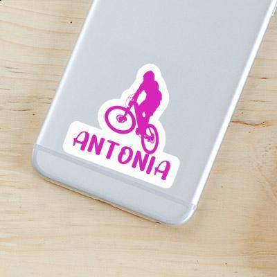 Antonia Sticker Downhiller Notebook Image