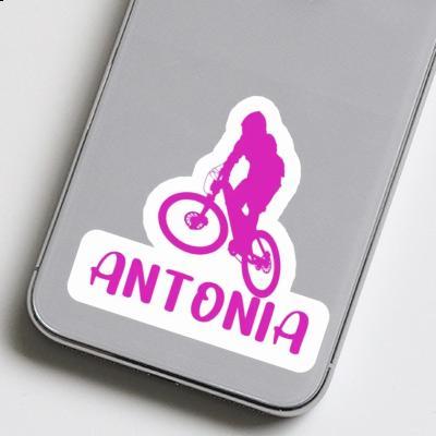 Antonia Sticker Downhiller Notebook Image