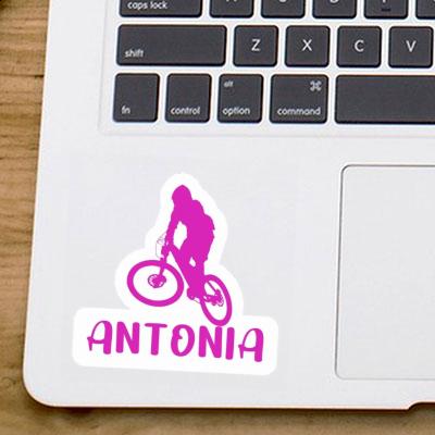 Antonia Autocollant Downhiller Laptop Image