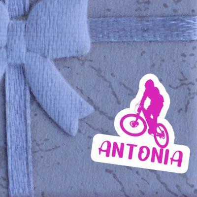 Antonia Sticker Downhiller Notebook Image