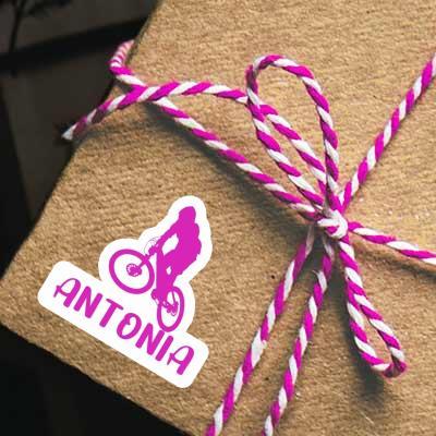 Aufkleber Antonia Downhiller Gift package Image