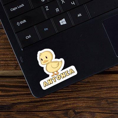 Duck Sticker Antonia Laptop Image