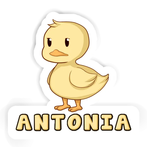 Duck Sticker Antonia Notebook Image