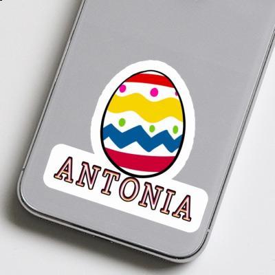 Egg Sticker Antonia Notebook Image