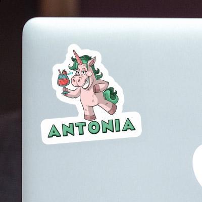 Autocollant Licorne festive Antonia Laptop Image