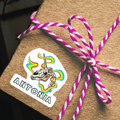 Aufkleber Einhorn-Totenkopf Antonia Gift package Image