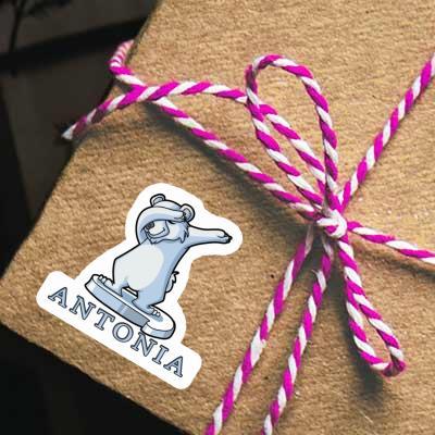 Polar Bear Sticker Antonia Gift package Image