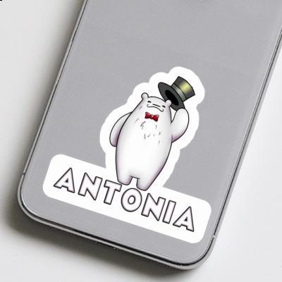 Sticker Ice Bear Antonia Gift package Image