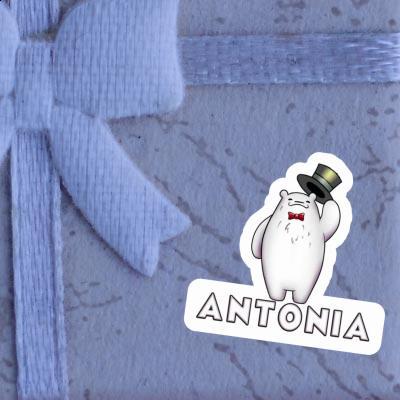 Sticker Ice Bear Antonia Gift package Image