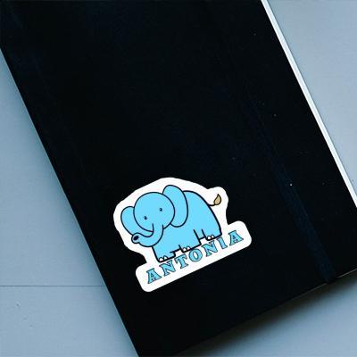 Éléphant Autocollant Antonia Laptop Image