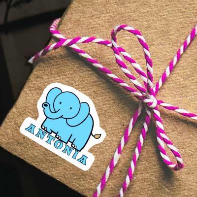 Antonia Aufkleber Elefant Gift package Image