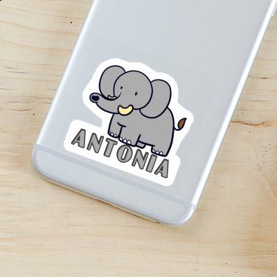 Aufkleber Elefant Antonia Laptop Image